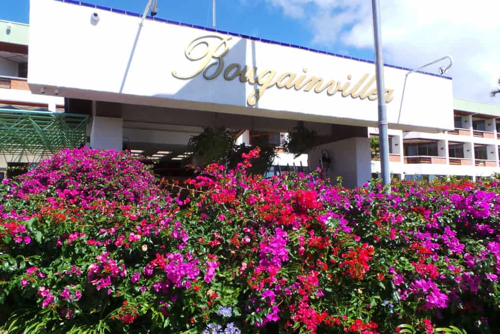 5 Best Garden Tours Discover Our Tours