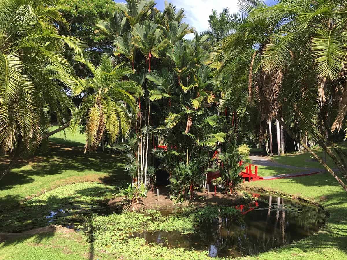 jardin-botanico jardin-botanico